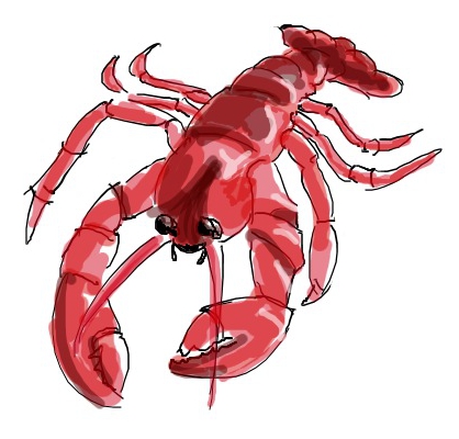 A lobster from Gray